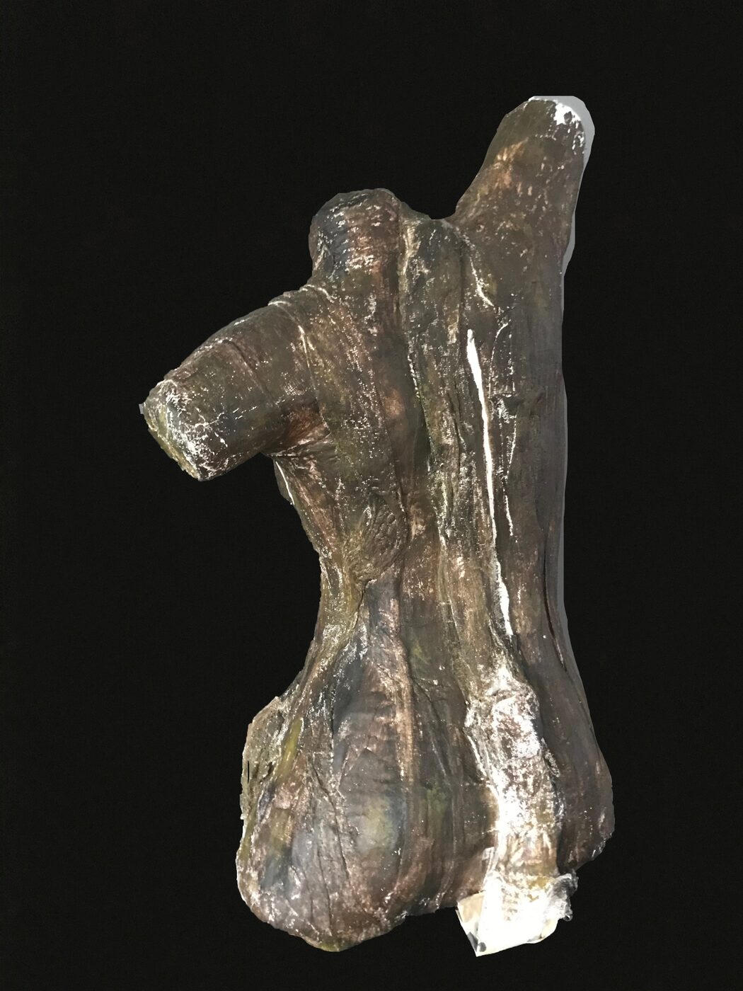Natu Busto